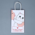 Пакет подарочный крафтовый «Мягкая моя», 12 × 21 × 9 см 7889215