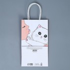 Пакет подарочный крафтовый «Мягкая моя», 12 × 21 × 9 см 7889215