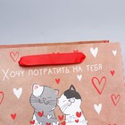 Пакет крафтовый горизонтальный «Потрачу девять жизней», MS 18 × 23 × 8 см 7892755