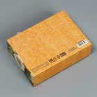 Коробка подарочная «Сияй», 16,5 х 12,5 х 5 см 9227546