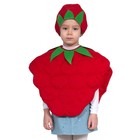 Карнавальный костюм «Малина», текстиль, накидка, шапочка, рост 98-122 см - фото 5818413