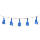 Лента тассел, набор 5 шт., цвета МИКС - фото 802468774