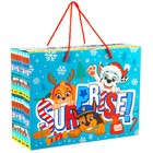 Пакет-коробка"Surprise", 15х40х30 см, Paw Patrol 7816818