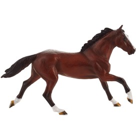 A purebred horse horse