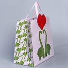 Пакет подарочный «Динозавры», 30 × 30 × 15 см 7489510