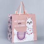 Пакет подарочный «Лама», 30 × 30 × 15 см 7489511