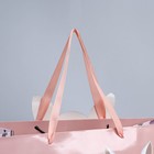 Пакет подарочный «Лама», 30 × 30 × 15 см 7489511