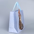 Пакет подарочный «Кот», 30 × 30 × 15 см 7489513