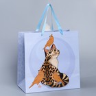 Пакет подарочный «Кот», 30 × 30 × 15 см 7489513