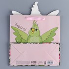 Пакет подарочный «Попугай», 22 × 22 × 10 см 7489514