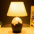 Настольная лампа "Вайли" E14 40Вт серый 25х25х28 см - фото 802513594