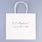 Пакет подарочный крафтовый «Счастье в улыбке», 22 × 25 × 12 см 7889213