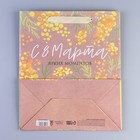 Пакет крафтовый вертикальный «Мимоза», ML 27 х 23 х 11.5 см 7895558
