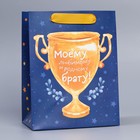 Пакет ламинированный вертикальный «Брату», MS 18 × 23 × 10 см 9136848