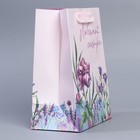 Пакет ламинированный вертикальный «Любимой сестре», MS 18 × 23 × 10 см 9136857