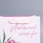 Пакет ламинированный вертикальный «Любимой сестре», MS 18 × 23 × 10 см 9136857