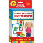 Умные карточки. Монтессори. Первые слова (Разв. Карточки 0+) - фото 802526451