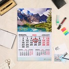 Календарь квартальный, моно "Природа" 2023 год, 30х46см - фото 5898892