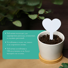 Таблички садовые для маркировки, 8 см, набор 20 шт., пластик, МИКС, Greengo 9084116