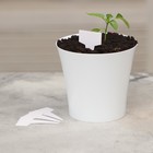 Таблички садовые для маркировки, 7 см, набор 20 шт., пластик, белые, Greengo 9084117