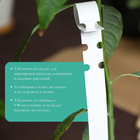 Бирки садовые для маркировки, 21 × 2 см, набор 20 шт., пластик, розовые, Greengo 9084119