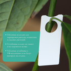 Бирки садовые для маркировки, 5 × 2 см, набор 20 шт., пластик, голубые, Greengo 9084120