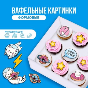котик