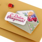 Конверт для денег "С Днём Рождения!" объемная, глиттер, божья коровка, 16х8 см 9358689