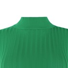 Водолазка женская, цвет тёмно-зелёный, размер ONE SIZE (42-46) - фото 48464