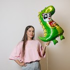 Шар фольгированный 24" «Дино панда», без подложки 9336064