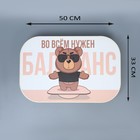 Доска балансировочная баланс борд «Медведь» - фото 802577271