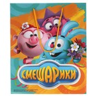 Пакет подарочный «Смешарики», глянцевый, размер 26 × 32 см 9335499