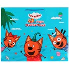 Пакет средний «Три Кота. море приключений», размер 40 × 49 см 9336673
