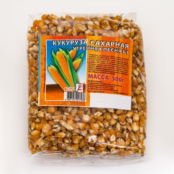гладкая форма семян. форма семян кукурузы. семена кукурузы узбекистан. форма семян кукурузы. форма семени кукурузы.