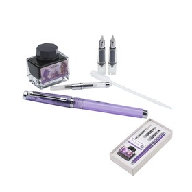 Набор PIERRE CARDIN WE-SHARE: ручка перьевая лилового цвета с пером размера М, 2 сменные насадки с перьями размеров 1.1 мм и 1.9 мм , конвертер, бутылочка чернил Elizabeth Purple 15 мл