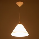 Подвес "Конус" 1х15Вт Е27 МОДЕЛЬ: BR 00267 белый 25х25х15см - фото 3490955