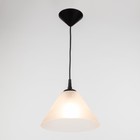 Подвес "Конус" 1х15Вт Е27 МОДЕЛЬ: BR 00272 черный/прозрачный 25х25х15см - фото 3490989