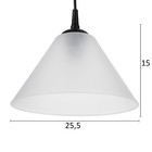 Подвес "Конус" 1х15Вт Е27 МОДЕЛЬ: BR 00272 черный/прозрачный 25х25х15см - фото 3490991