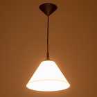 Подвес "Конус" 1х15Вт Е27 МОДЕЛЬ: BR 00273 черный/белый 25х25х15см - фото 3490997