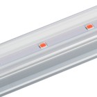 Фитосветильник светодиодный, 14 Вт, 872 мм, IP20, сине-красный спектр, фиолетовый, «ЭРА» 9355791