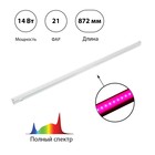 Фитосветильник светодиодный, 14 Вт, 872 мм, IP20, сине-красный спектр, фиолетовый, «ЭРА» 9355791