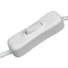 Фитосветильник светодиодный, 30 Вт, 872 мм, IP65, полный спектр, бело-красный, «ЭРА» 9355792