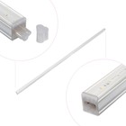 Фитосветильник светодиодный, 18 Вт, 1170 мм, IP20, полный спектр, бело-красный, «ЭРА» 9355793