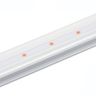 Фитосветильник светодиодный, 18 Вт, 1170 мм, IP20, полный спектр, бело-красный, «ЭРА» 9355793