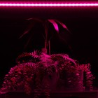 Фитосветильник светодиодный, 18 Вт, 1170 мм, IP20, полный спектр, бело-красный, «ЭРА» 9355793