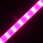 Фитосветильник светодиодный, 18 Вт, 1170 мм, IP20, полный спектр, бело-красный, «ЭРА» 9355793