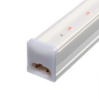 Фитосветильник светодиодный, 18 Вт, 1170 мм, IP22, сине-красный спектр, фиолетовый, «ЭРА» 9355794