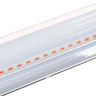 Фитосветильник светодиодный, 36 Вт, 1170 мм, IP65, сине-красный спектр, фиолетовый, «ЭРА» 9355795