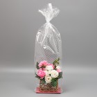 Пакет с жёстким дном «Горох», 11 × 17 × 60 см 7984629