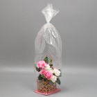 Пакет с жёстким дном «Горох», 11 × 17 × 60 см 7984629